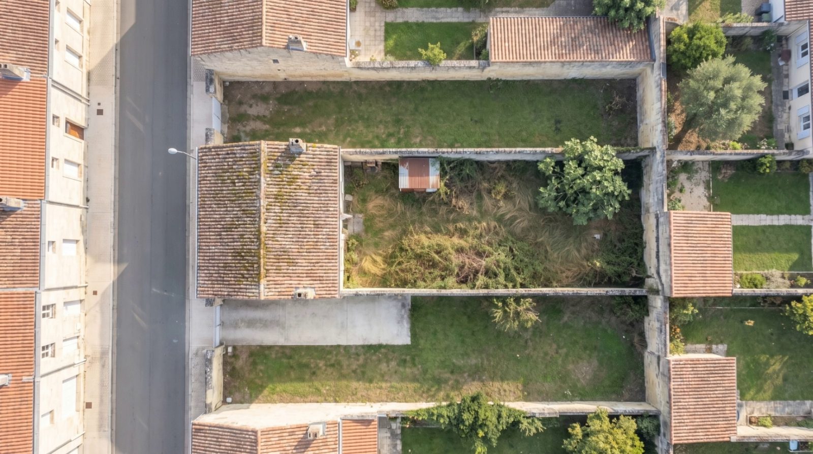 Avant les travaux, vue du ciel : la vieille échoppe au toit de tuiles moussues et son jardin en friche, avec une cabane rouillée et le figuier.
